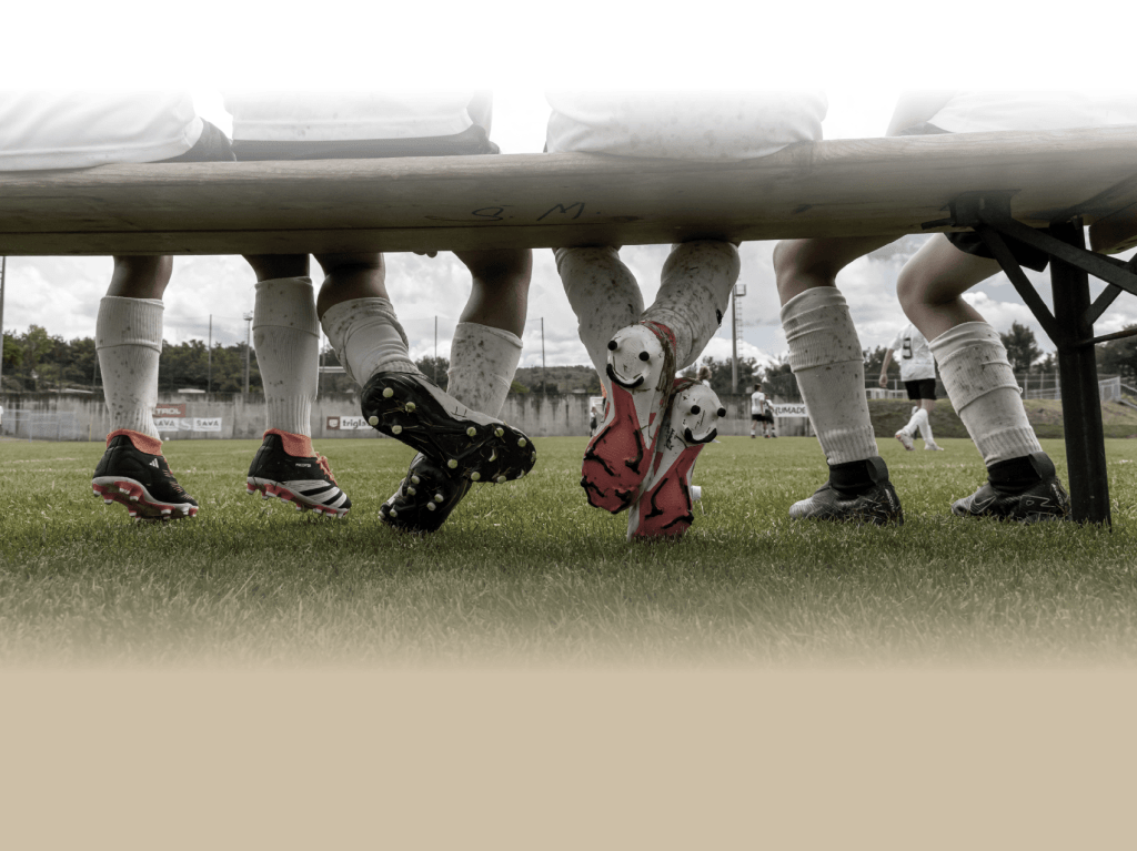 Tlsports pics bench doublegradient